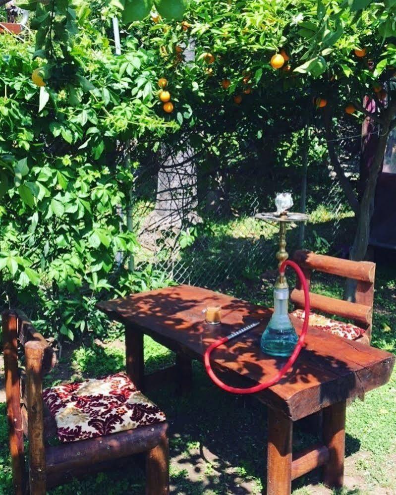 Çıralı 阿里看旅馆酒店 外观 照片